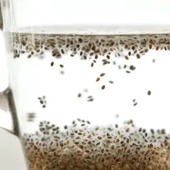 Szklanka z wodą i nasionami chia, które tworzą żelową warstwę na dnie i unoszą się w wodzie. Zdrowy napój.