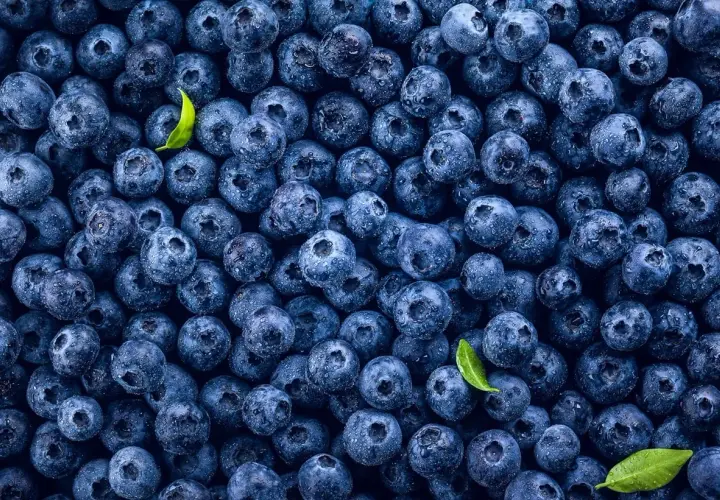 Mnóstwo soczystych borówek, idealnych na zdrową przekąskę. Sprawdź, jakie mają borówki kcal!