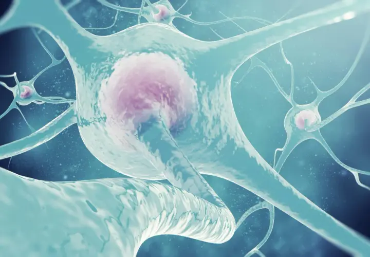 Neurony w akcji, przekazujące sygnały. Czy wiesz, co to acetylocholina i jak ważna jest dla komunikacji między nimi?