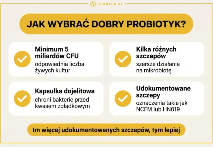 Wskazówki dotyczące wyboru probiotyku: minimum 5 mld CFU, różne szczepy, kapsułka dojelitowa, udokumentowane szczepy. Esencja probiotyczna dla zdrowia.