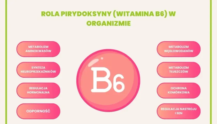 Wizualizacja roli witaminy B6 w organizmie: metabolizm aminokwasów, węglowodanów, tłuszczów, synteza neuroprzekaźników, regulacja hormonalna, ochrona komórkowa, odporność, regulacja nastroju i snu.