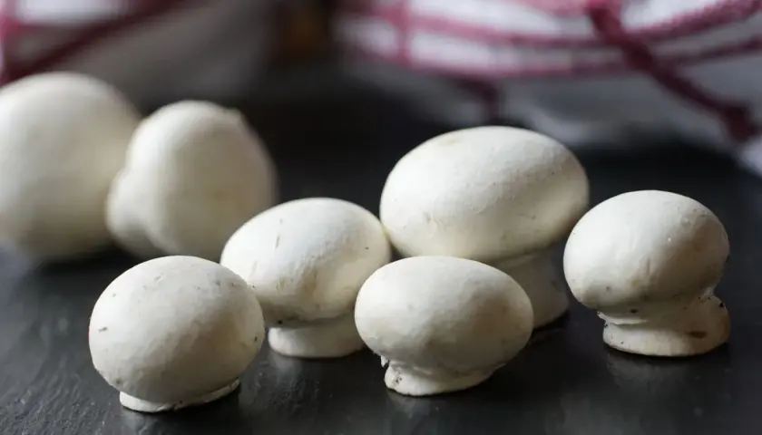 Kilka białych pieczarek na ciemnym tle, z fragmentem ręcznika w tle.