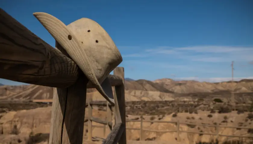 AriZona: Co kryje kultowa puszka? Historia, smaki i gdzie kupić w PL.