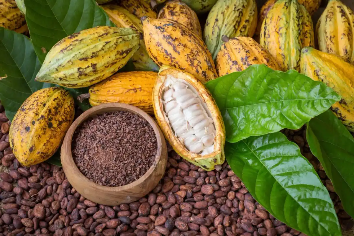 Ile kalorii ma kakao i co najbardziej je podbija?