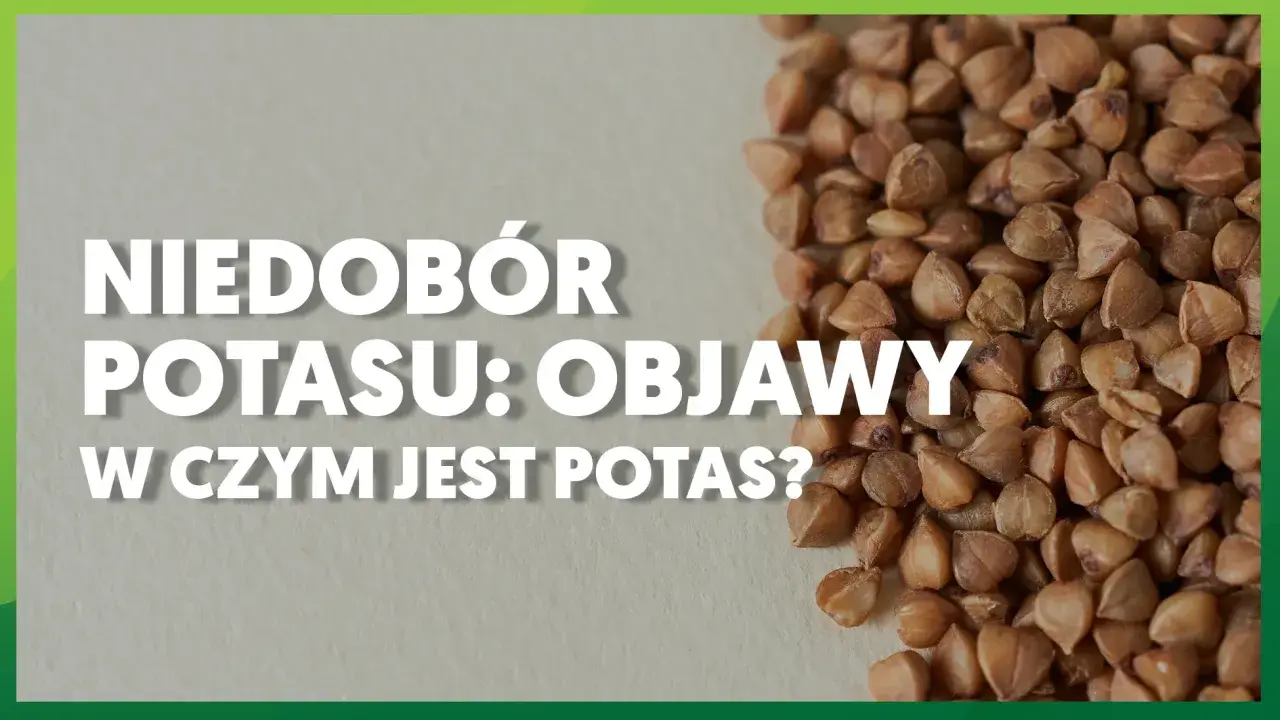 Niedobór potasu: objawy i źródła. Kasza gryczana, bogata w potas, może pomóc zapobiec jego niedoborom.